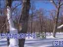 刘和刚东北风歌曲《东北二人转》为东北地方戏摇旗呐喊的正统民歌